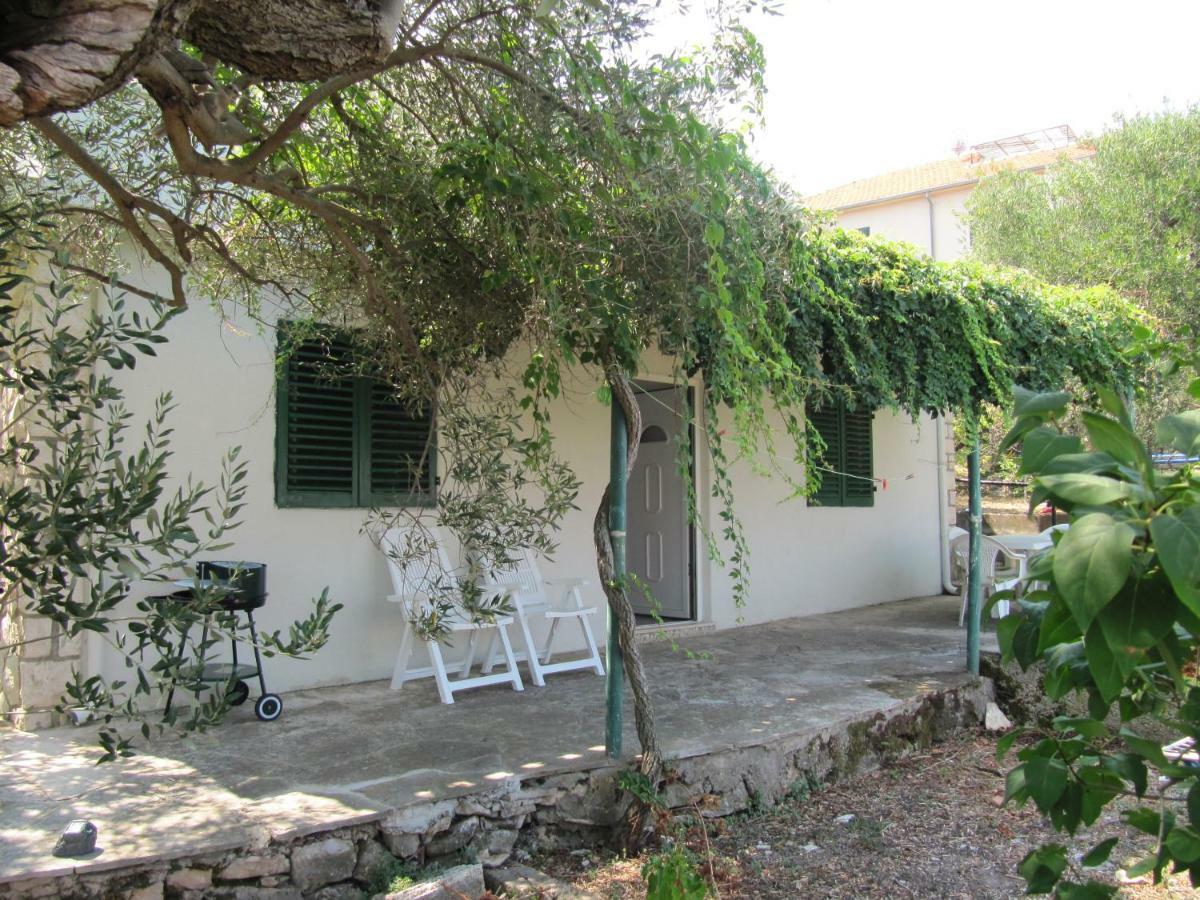 Olive Tree Apartment, Appartamento *